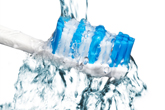 Oral Health